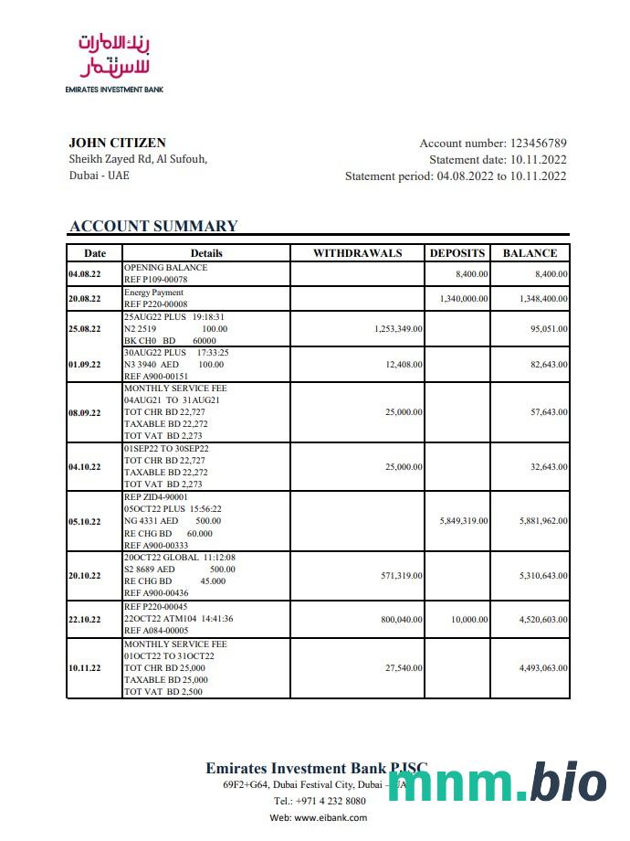 ZEA Dubai PNB wyciąg bankowy Word i szablon PDF, 2 strony